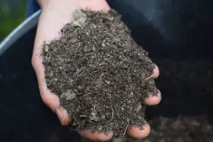 How to replace mulch
