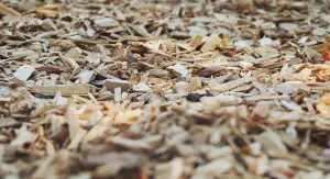 What is Mulch Glue? The Surprising Benefits of an Eco-Friendly